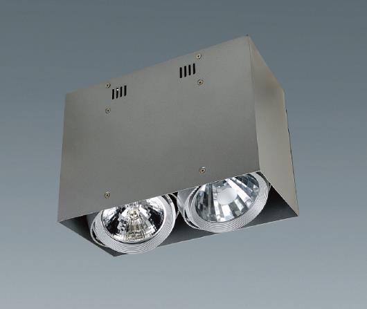 ceiling light pro - XM2481C-2