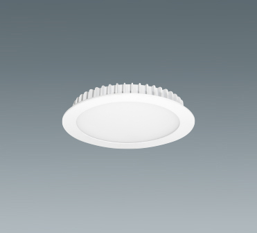 Ceiling Light LBS2346