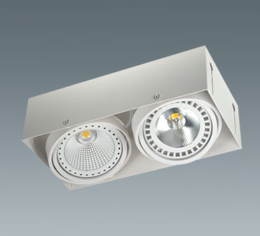 ceiling light pro -XM2902SA-H